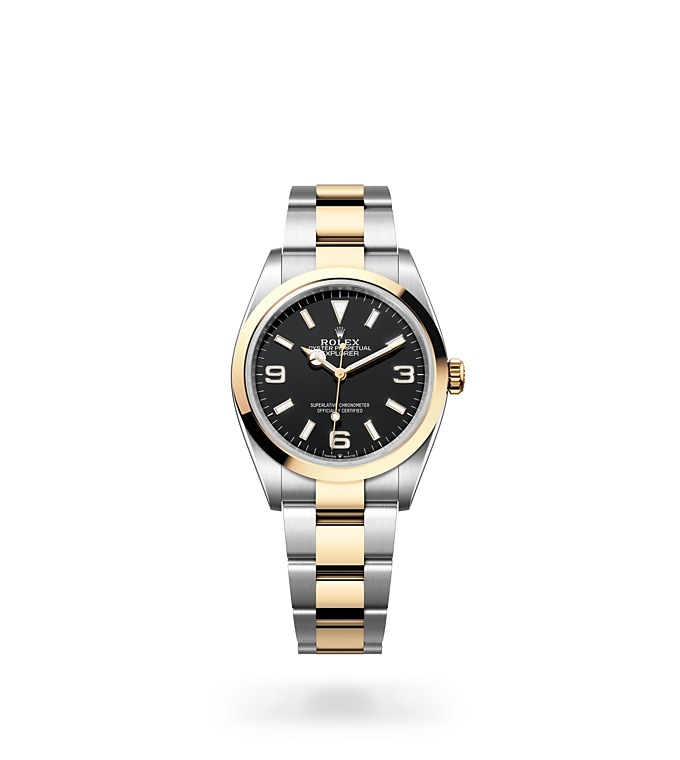 Rolex Explorer | Explorer | Dark dial | Black dial | Smooth Bezel | Yellow Rolesor | Men Watch | Rolex Official Retailer - THE TIME PLACE SG