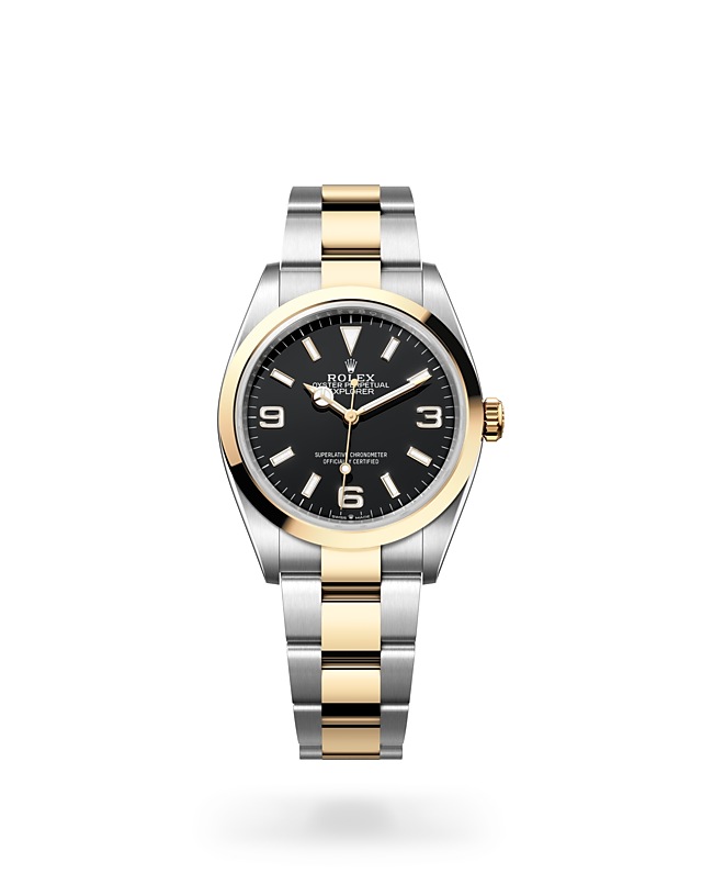 Rolex Explorer | Explorer | Dark dial | Black dial | Smooth Bezel | Yellow Rolesor | Men Watch | Rolex Official Retailer - THE TIME PLACE SG