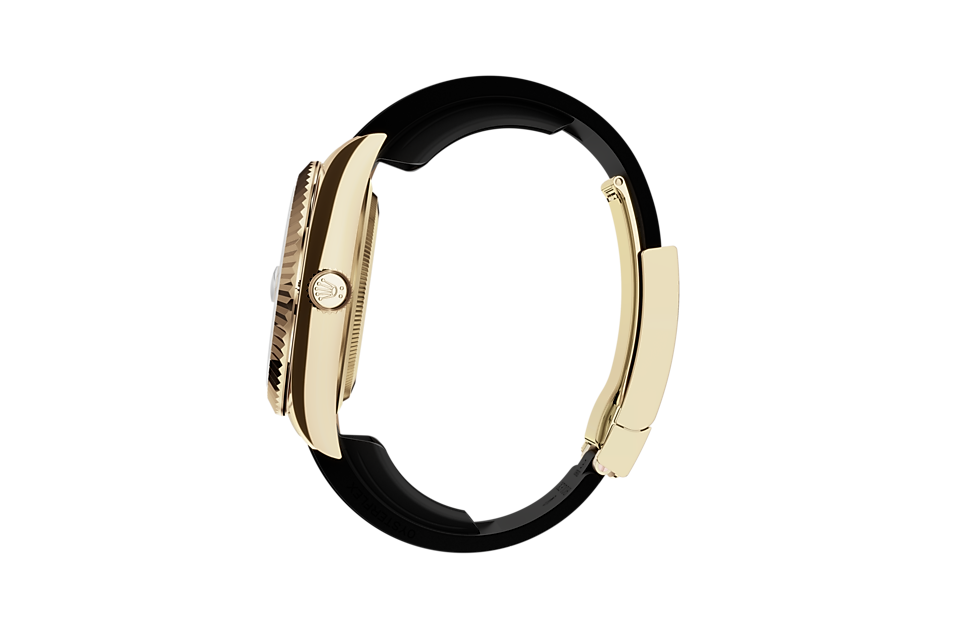 Rolex Sky-Dweller | Sky-Dweller | Dark dial | The Oysterflex Bracelet | 18 ct yellow gold | Bright black dial | Men Watch | Rolex Official Retailer - THE TIME PLACE SG